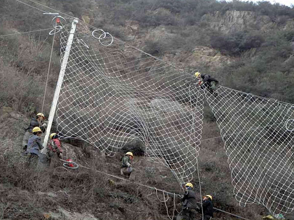 邊坡綠化勾花網(wǎng)圖片4